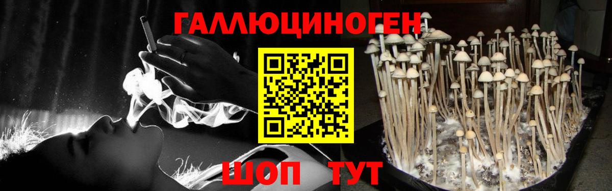 Галлюциногенные грибы GOLDEN TEACHER  Вход с VPN  продажа наркотиков  Еманжелинск  Галлюциногенные грибы GOLDEN TEACHER 